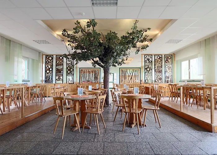 Kinder- Und Harz-park Güntersberge